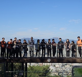 1762826697.58UlipUEIZWK20251017_103304.jpg