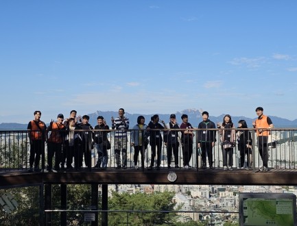 1762826697.58UlipUEIZWK20251017_103304.jpg